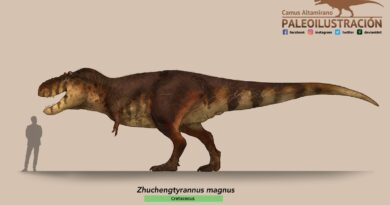 The Biggest Predator Of Asia…