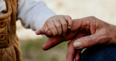 Gain Clarity: The Big Picture of AI