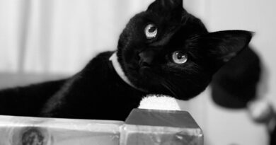 Start Creating Tiny PDFs Before It’s Too Late (2026 Guide)