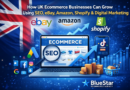 How UK Ecommerce Businesses Can Grow Using SEO, eBay, Amazon, Shopify and Digital Marketing