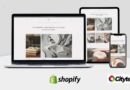 Why SMBs Can’t Afford to Ignore Shopify Plus: Citytech Software’s Custom Development Services That…