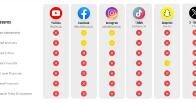 Digital platforms are funding disinformation and their own opacity prevents the phenomenon from being fully studied · Maldita.es