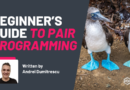 Beginner’s Guide to Pair Programming