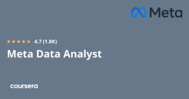 Meta Data Analyst Professional Certificate