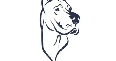 TopDawg Joins the Amazon Service Provider Network with New U.S. Dropshipping Integration