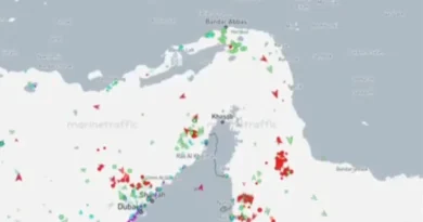 15 vessels moved through Strait of Hormuz in last 3 days, Kpler analysis finds