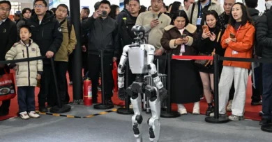 Woman hospitalized after being startled by humanoid robot: “Are you crazy?”