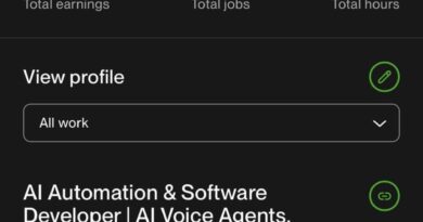 Took Upwork seriously and achieved Top Rated Plus in 4/months