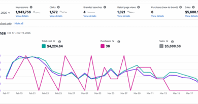 PPC suddenly flatlined. Found a hidden title violation, but competitors are doing the same thing. Advice?